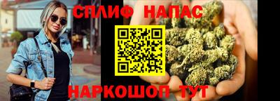СК Пенза