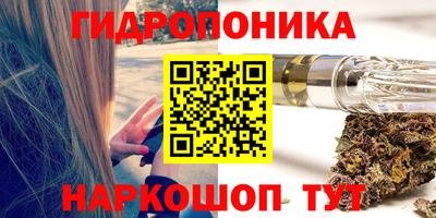 СК Пенза