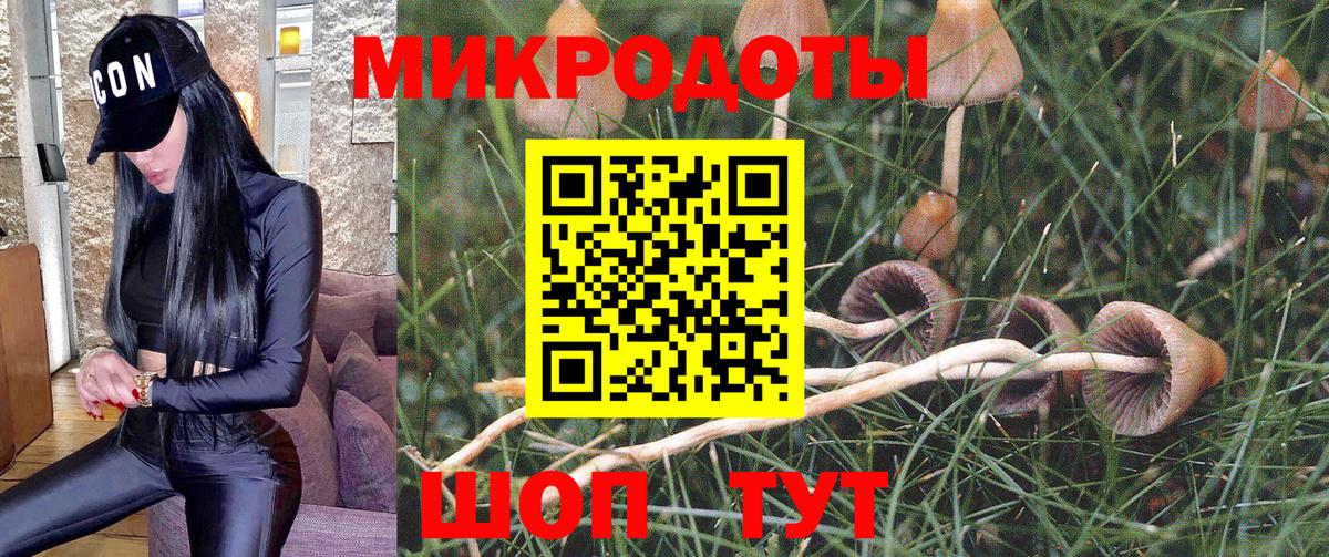 Тамбов  Галлюциногенные грибы Psilocybine cubensis  Галлюциногенные грибы Magic Shrooms  Вход с VPN 